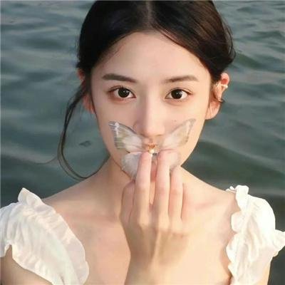 黑箱日记